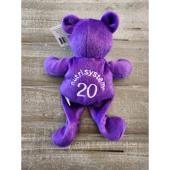Nutrisystem Celebration Bears 20 & 30 Lbs Purple & Blue Plush Collectible - Picture 6 of 15